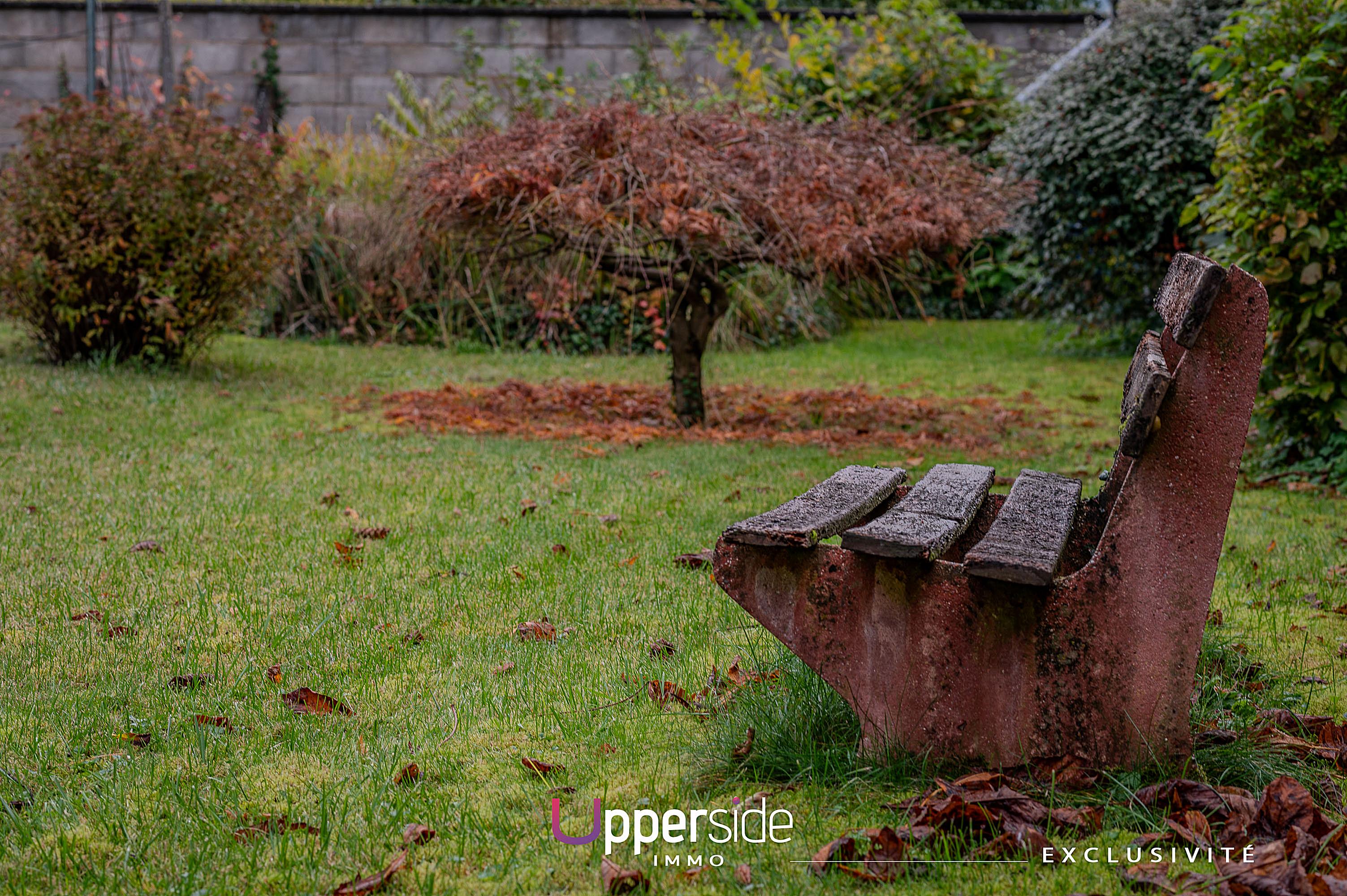 Upperside_immo_SAVANE_maison_hervé_viller_brumath_banc-concentrate